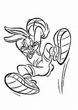 Bunny Bugs Coloring Pages Basketball Baby Color Drawing Goal Disegni Looney Tunes Printable Garvey Marcus Cartoon Wildcat Getcolorings Da Colorare sketch template