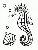 Coloring Seahorse Pages Printable Online Line Drawing Print Getdrawings Everfreecoloring sketch template