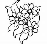 Coloring Daisy Pages Nature sketch template