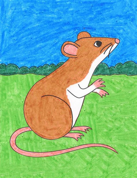 easy   draw  mouse tutorial  mouse coloring page