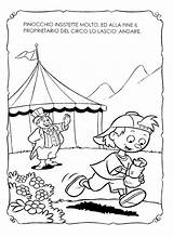 Pinocchio Didattiche Infanzia Maestra Linda Lamaestralinda Attività Scaricare Fiabe sketch template
