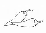 Cabai Mewarnai Sketsa Tanaman Cabe Animasi Bumbu Dapur Kekinian Daun sketch template