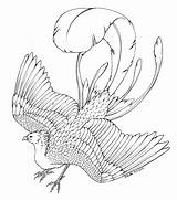 Phoenix Coloring Potter Harry Pages Dragon Bird Ausmalbilder Ausmalen Print Phönix Printable Hippogriff Fabelwesen Sheets Color Coloringtop Kids Hogwarts Getcolorings sketch template