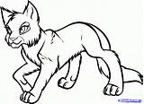 Warrior Coloring Cats Color Cat Library Clipart sketch template
