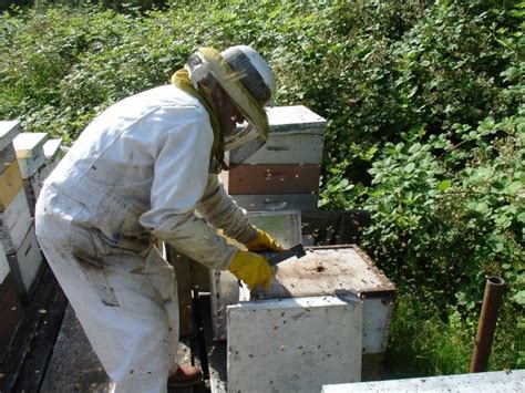 pin op bijenkast maken bouwtekening