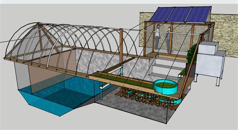 garden pool aquaponics urban fish farmer