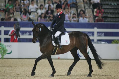 equestrian dressage  normandy hits highest notes