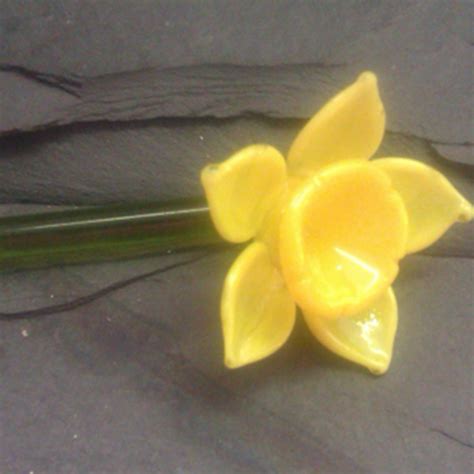 single daffodil gift  glass