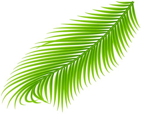clipart easter palm clipart easter palm transparent