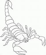 Scorpion Coloringhome Coloring4free Kombat Mortal sketch template