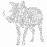 Savannah Coloring Millie Marotta Wild Warthog Colouring Book Books Pages Adventure Designlooter Amazon Color 2560px 2560 1066 21kb Printable Getcolorings sketch template