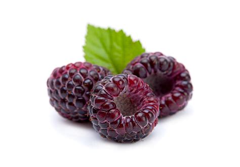researchers construct  sweet  genome   black raspberry   part proximo