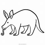 Aardvark Coloring Template sketch template