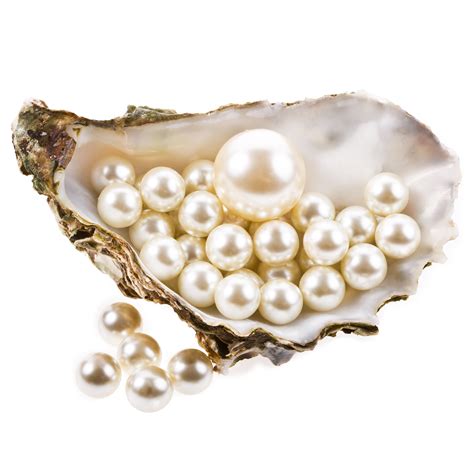 pearls harvested tps blog