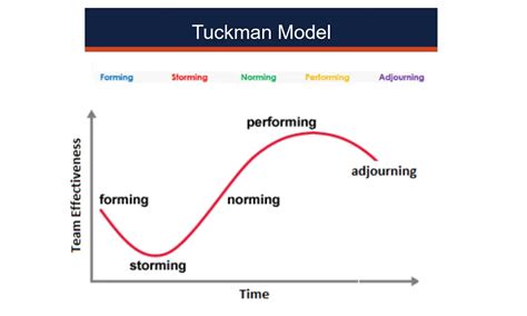 tuckmans theory  stages  group development ba theories business administration
