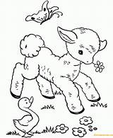 Animals Baby Spring Pages Coloring Color Online Printable Print sketch template