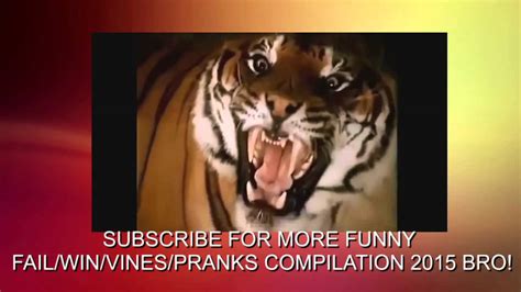 funny commercial 2015 the best pranks vines fails wins compilation 2015 youtube