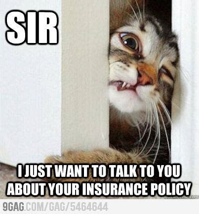 insurance memes    absolutely relate