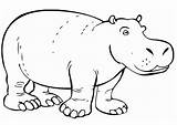 Coloring Hippopotamus Christmas Kids Pages Hippo sketch template