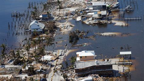 cleaning   hurricane ian climate news sky news