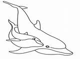 Dolphin Pink Coloring Pages Getcolorings Perfect sketch template