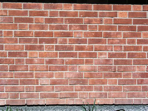 filesolna brick wall silesian bond variationjpg