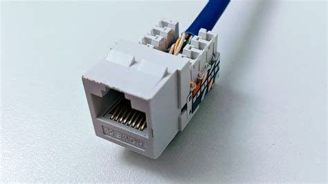 connect cat cable  jack youtube