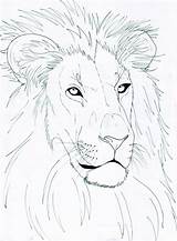 Lion Drawing Head Line Face Simple Draw Drawings Deviantart Paintingvalley Getdrawings Explore Collection Ref sketch template