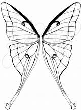 Moth Luna Coloring Tattoo Drawing Synchro Halo Commission Wing Getdrawings Deviantart 25kb sketch template