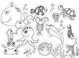 Coloring Ocean Animals Pages Preschool Getcolorings Color Printable sketch template