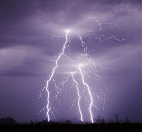 lightning strikes creation museum  kentucky storm  staffer