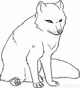 Vulpe Arctic Colorat Planse Desene Colering Artic Dragoart Animale Puppy sketch template