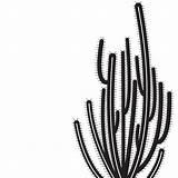 Cactus Pipe Illustrations Clipart Tumblr Organ Library sketch template