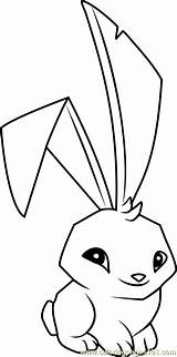 Jam Animal Coloring Bunny Pages Coloringpages101 sketch template