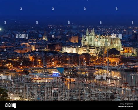 night view   city  palma de mallorca   cathedral  stock photo  alamy
