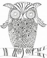 Coloring Intricate Printable Owl Pages sketch template