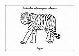 Salvajes Tigre sketch template