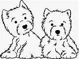 Westie Coloring Pages Terrier Highland West Template Drawing Logo Printable Sketch Getcolorings Westies sketch template