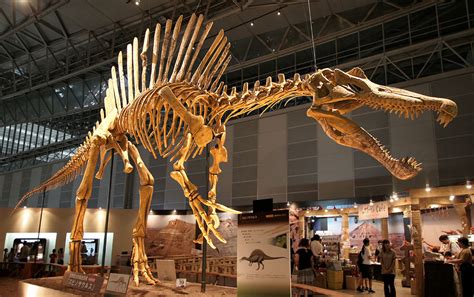 filespinosaurus skeletonjpg
