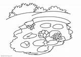 Coloring Pond Pages Printable Template Lily Water Flowers sketch template