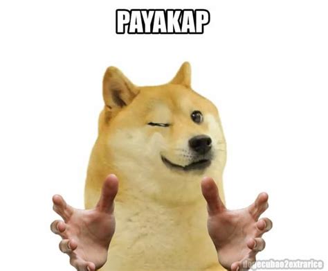 pin  ashi  doge cheems corgi memes dogs