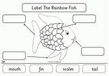 Fish Rainbow Label Template Activities Story Printable Kids Parts Kindergarten Diagram Cut Paste Worksheet Ocean Clipart Labels Applied Once Colour sketch template