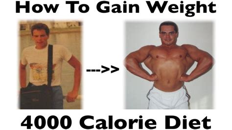 gain weight  skinny guys youtube