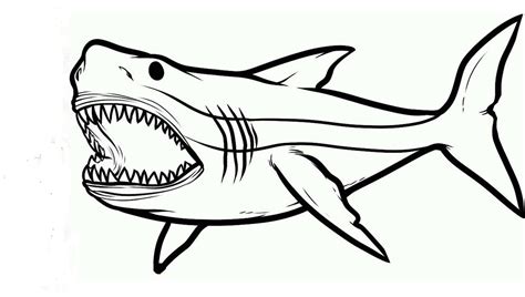 sharks jaw coloring page  printable coloring pages  kids