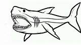 Shark Coloring Jaws Jaw Sharks Coloringonly sketch template