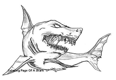 zombie shark coloring pages lets coloring  world