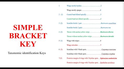 simple bracket key youtube