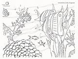 Oceanconservancy Algae Fisheries Sustainable sketch template