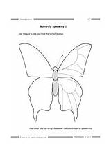 Butterfly Symmetry sketch template