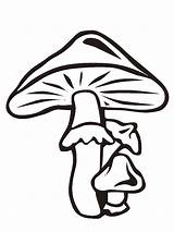 Coloring Pages Champignon sketch template